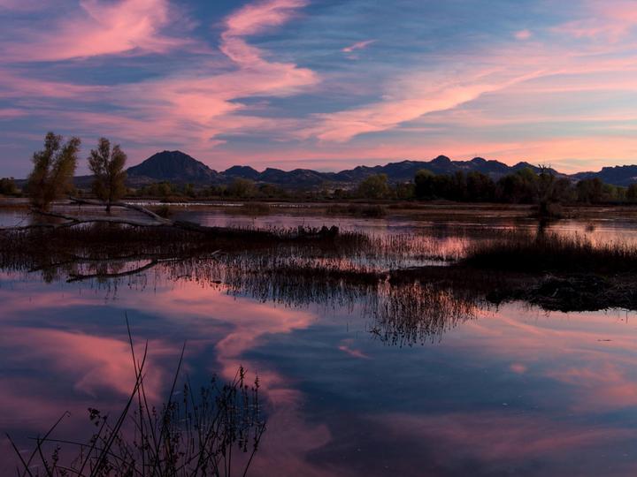 Granzella’s Inn | Williams, California | 6