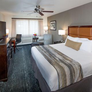 Granzella’s Inn | Williams, California | One king bed with TV and desk area
