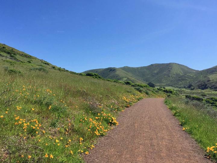 Granzella’s Inn | Williams, California | 2